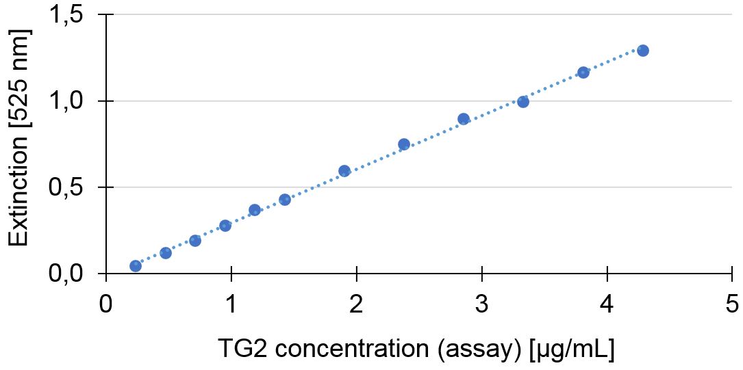 Activity measurement of TG2