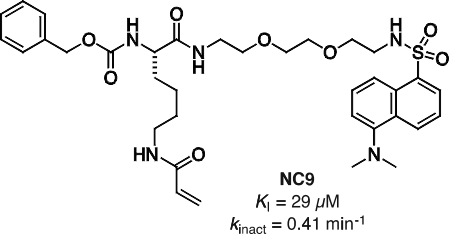 Blog Keillor tTG inhibitor Figure 2