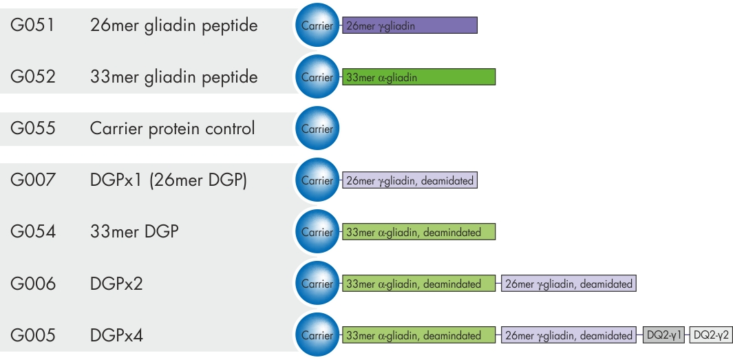 gliadin peptides and DGP variants