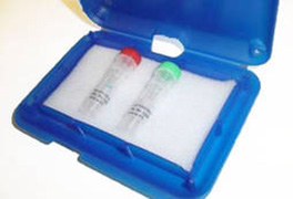 Transglutaminase Microarray Staining Kit