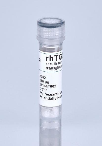 tissue transglutaminase TG2 T002 by Zedira