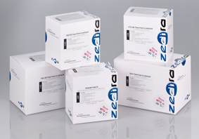 TGase Protein Labeling Kits Zedira