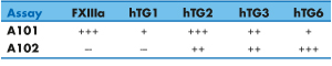 Isopeptidase activity Assay A101 and A102