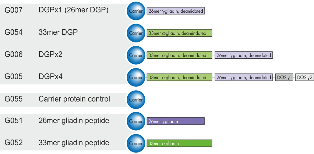 deamidated gliadin peptides